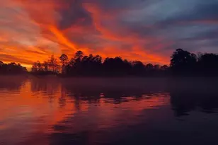 179 Napier Dr, Eatonton, GA 31024 - Photo 39