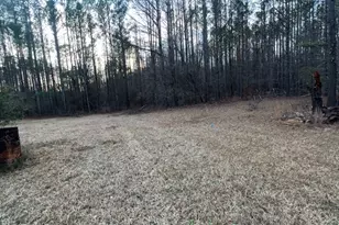 882 Caldwell Rd, Gay, GA 30218 - Photo 17