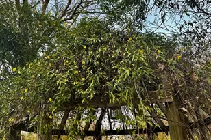 229 Meadows Rd, Newborn, GA 30056 - Photo 51