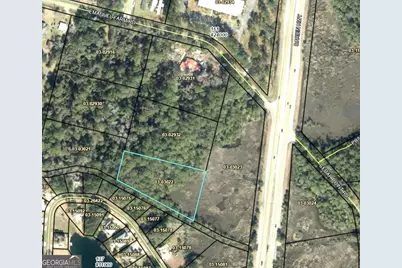 Tr 6 Emanuel Farm Road, Brunswick, GA 31525 - Photo 1
