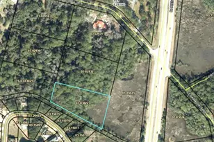 Tr 6 Emanuel Farm Rd, Brunswick, GA 31525 - Photo 1