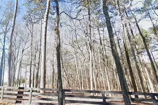 6 927 Ac Quarters Rd, Fayetteville, GA 30215 - Photo 3