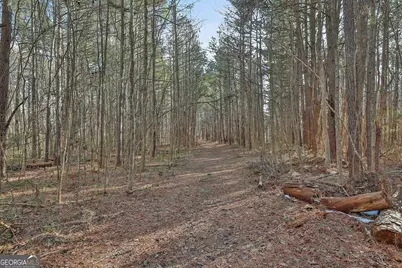 1870 Highway 92 N, Fayetteville, GA 30214 - Photo 9