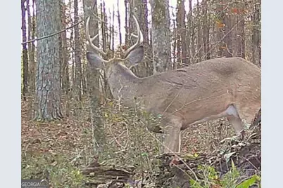 1870 Highway 92 N, Fayetteville, GA 30214 - Photo 29