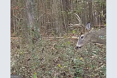 1870 Highway 92 N, Fayetteville, GA 30214 - Photo 27