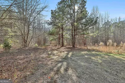 1870 Highway 92 N, Fayetteville, GA 30214 - Photo 17