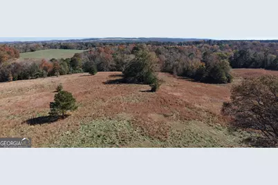 501 Raleigh Road, Woodbury, GA 30293 - Photo 5