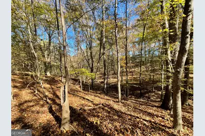 501 Raleigh Road, Woodbury, GA 30293 - Photo 51