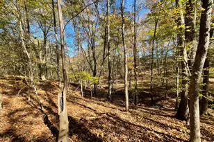 501 Raleigh Rd, Woodbury, GA 30293 - Photo 51