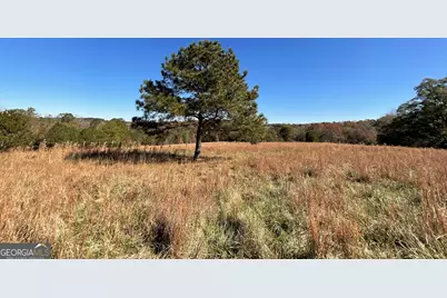 501 Raleigh Road, Woodbury, GA 30293 - Photo 89