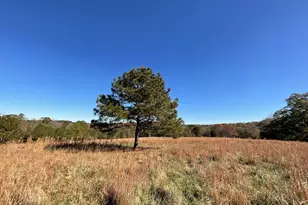 501 Raleigh Rd, Woodbury, GA 30293 - Photo 89