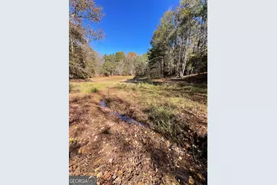 501 Raleigh Road, Woodbury, GA 30293 - Photo 57