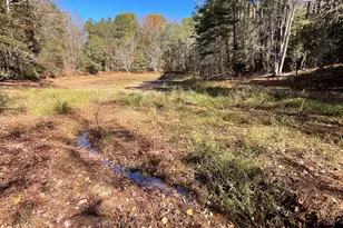 501 Raleigh Rd, Woodbury, GA 30293 - Photo 57