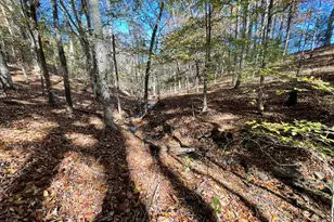 501 Raleigh Rd, Woodbury, GA 30293 - Photo 53