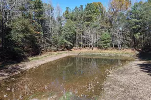 501 Raleigh Rd, Woodbury, GA 30293 - Photo 59