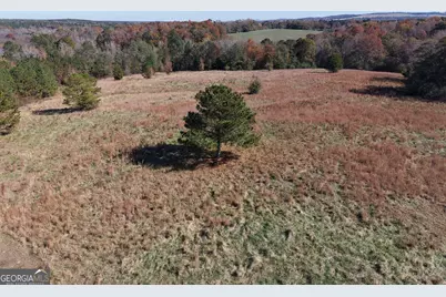 501 Raleigh Road, Woodbury, GA 30293 - Photo 43