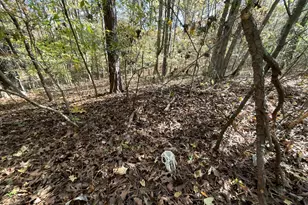 501 Raleigh Rd, Woodbury, GA 30293 - Photo 49