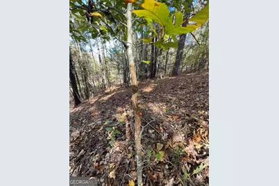 501 Raleigh Road, Woodbury, GA 30293 - Photo 61