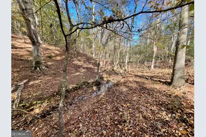 501 Raleigh Road, Woodbury, GA 30293 - Photo 55