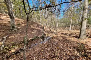 501 Raleigh Rd, Woodbury, GA 30293 - Photo 55