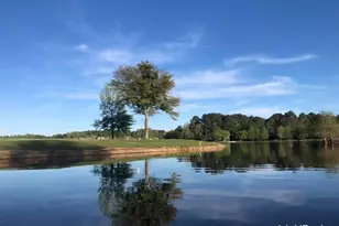 41 Eastlake Landing, Newnan, GA 30265 - Photo 63