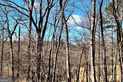 954 The Orchard Road, Clarkesville, GA 30523 - Photo 3