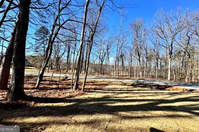 954 The Orchard Road, Clarkesville, GA 30523 - Photo 35