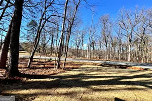 954 The Orchard Rd, Clarkesville, GA 30523 - Photo 35