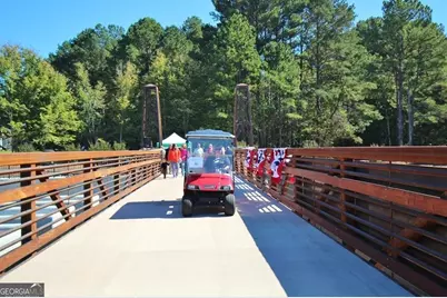 330 Elkins Place, Peachtree City, GA 30269 - Photo 49