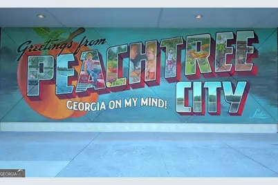 330 Elkins Place, Peachtree City, GA 30269 - Photo 43