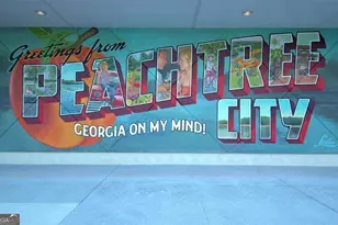 330 Elkins Pl, Peachtree City, GA 30269 - Photo 43