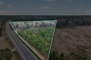 Lot 5 McCall Rd, Rincon, GA 31326 - Photo 1