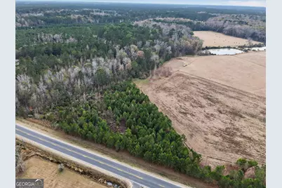 Lot 5 McCall Road, Rincon, GA 31326 - Photo 9