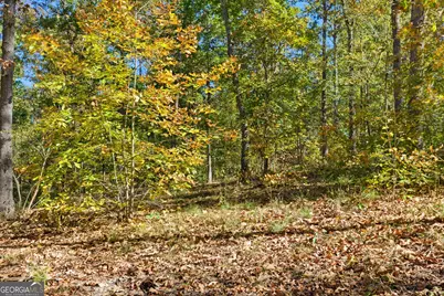 0 Broad River Road, Toccoa, GA 30577 - Photo 5