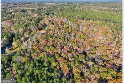 0 Browning Shoals Road TRACT #1A &amp; #1B, Social Circle, GA 30025 - Photo 3