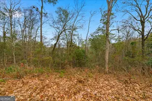 1124 Panola Cir, Warner Robins, GA 31088 - Photo 35