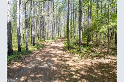 7485 Goolsby Road, Monticello, GA 31064 - Photo 49