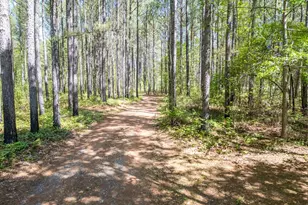 7485 Goolsby Rd, Monticello, GA 31064 - Photo 49