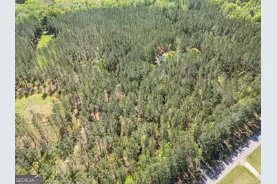 7485 Goolsby Road, Monticello, GA 31064 - Photo 51