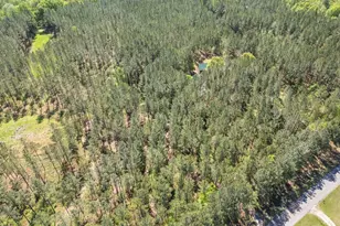 7485 Goolsby Rd, Monticello, GA 31064 - Photo 51