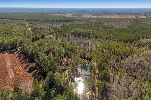 1576 Mt Hope Rd, Guyton, GA 31312 - Photo 39