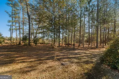 1576 Mt Hope Road, Guyton, GA 31312 - Photo 45