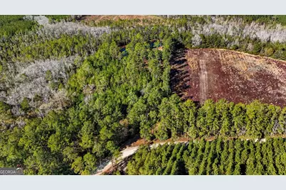 1576 Mt Hope Road, Guyton, GA 31312 - Photo 41