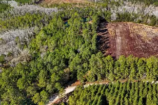 1576 Mt Hope Rd, Guyton, GA 31312 - Photo 41