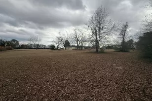 15497 Hwy 233, Abbeville, GA 31001 - Photo 29