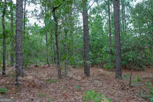 766 Parks Rd, Mauk, GA 31058 - Photo 19