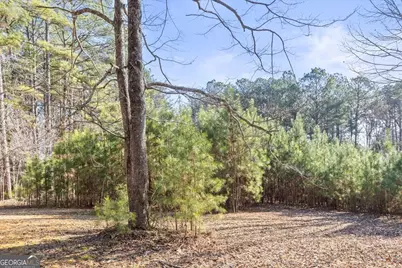 322 Cannon Road, La Fayette, GA 30728 - Photo 71