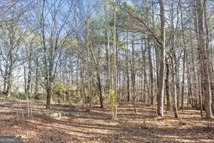 322 Cannon Rd, La Fayette, GA 30728 - Photo 73