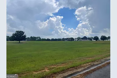 44 Crabapple Drive, Hawkinsville, GA 31036 - Photo 3