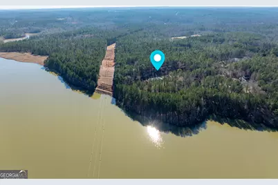 136 Sam Solomon Road, Locust Grove, GA 30248 - Photo 11